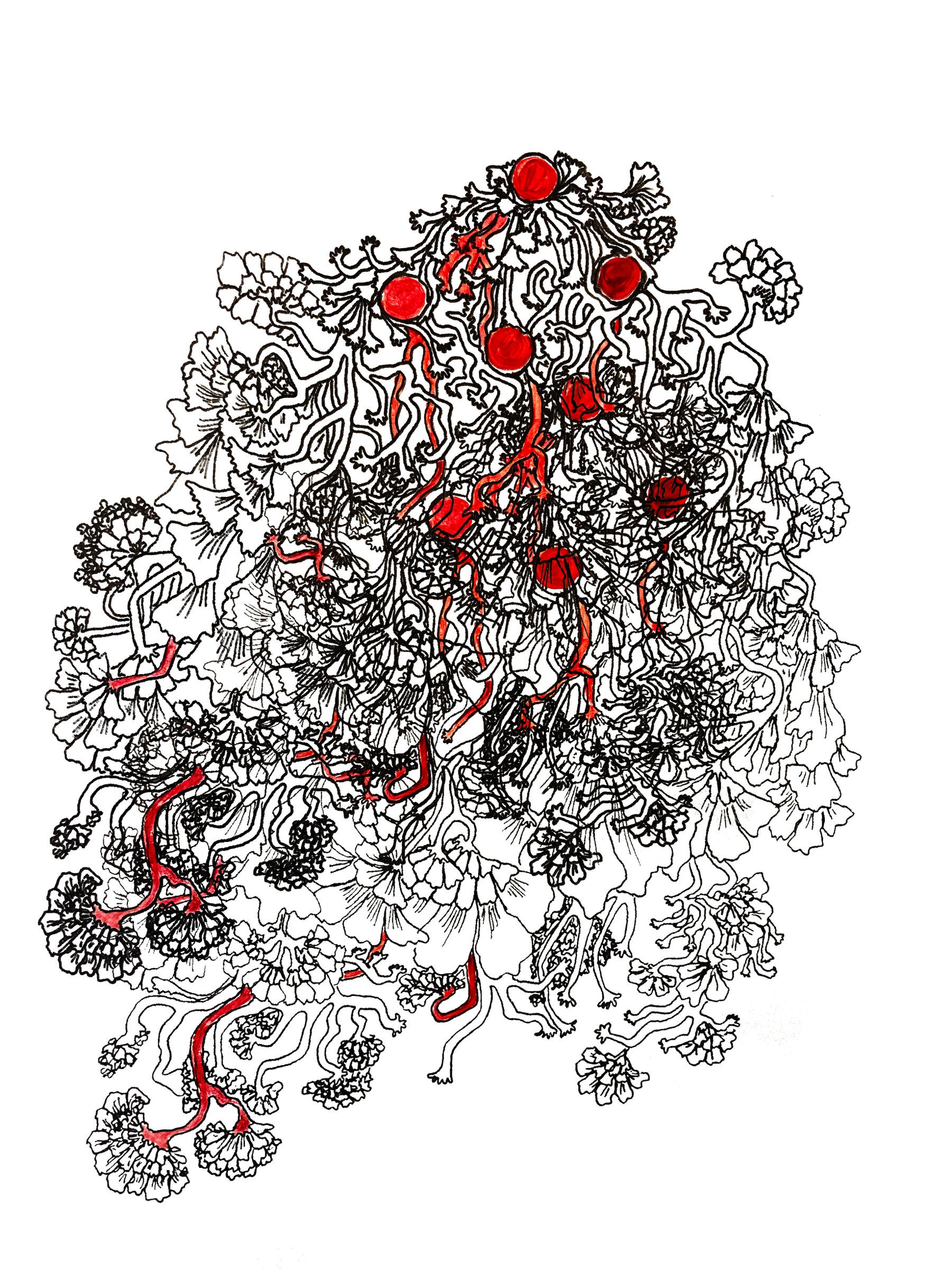 chain.png