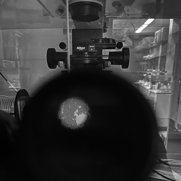 thru the scope.png