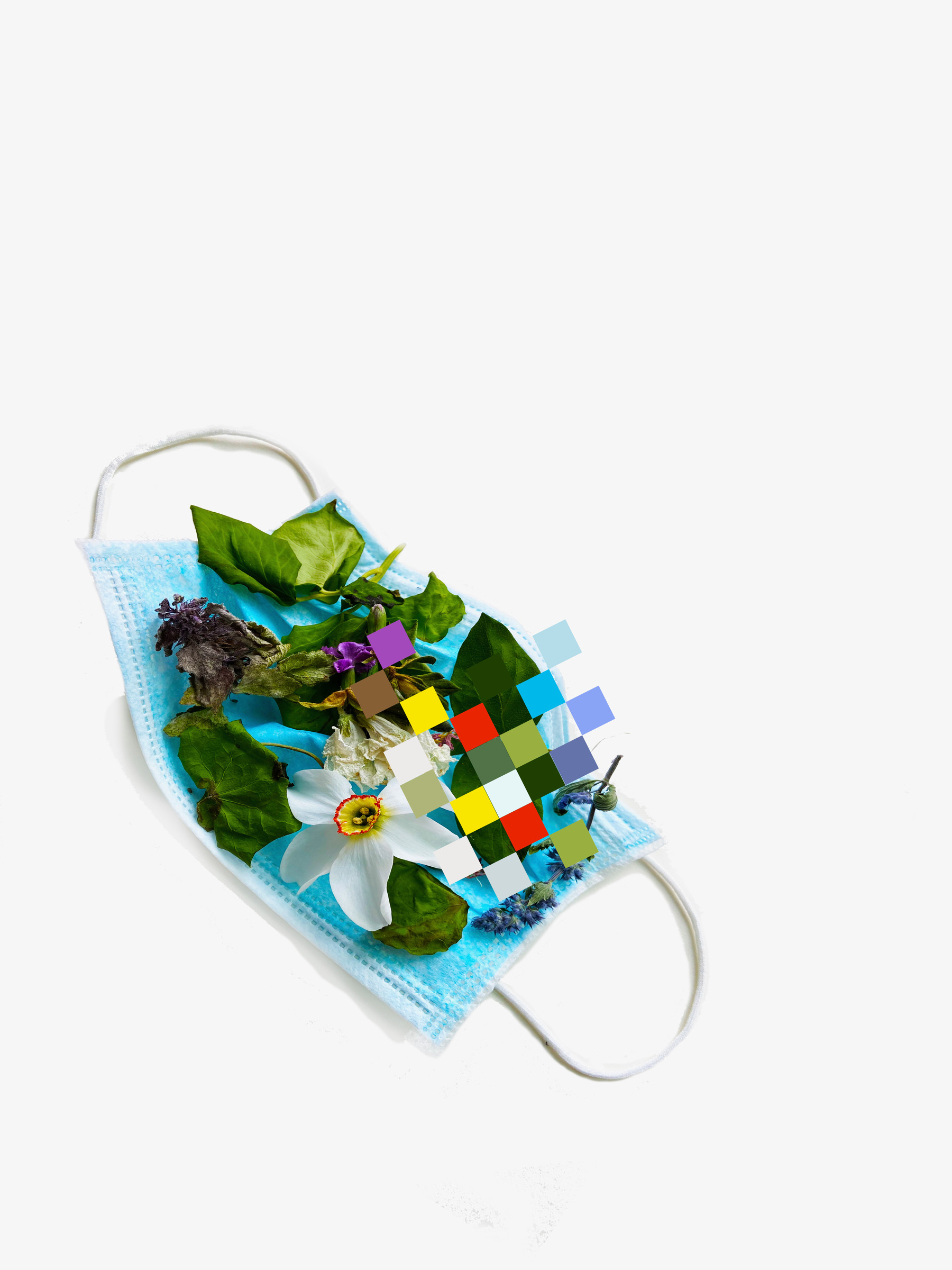 filtered flowers (mixed ii)