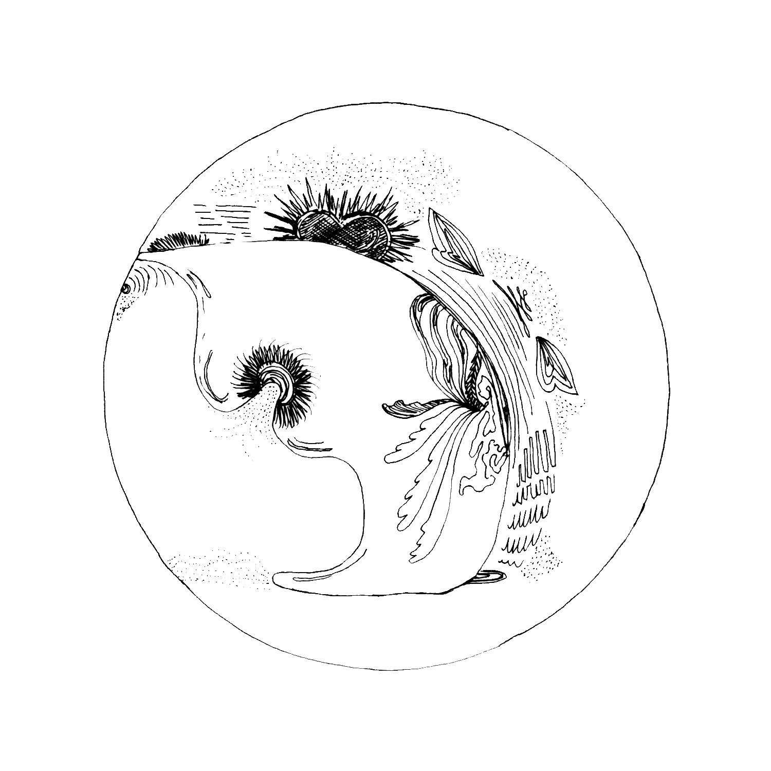 ustrasana